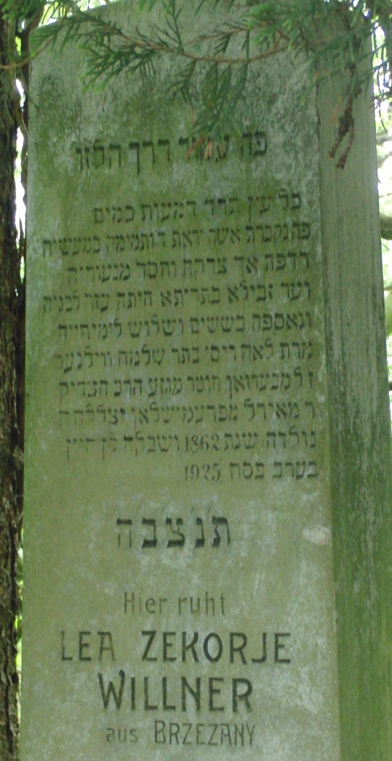 Zekorje-Willner