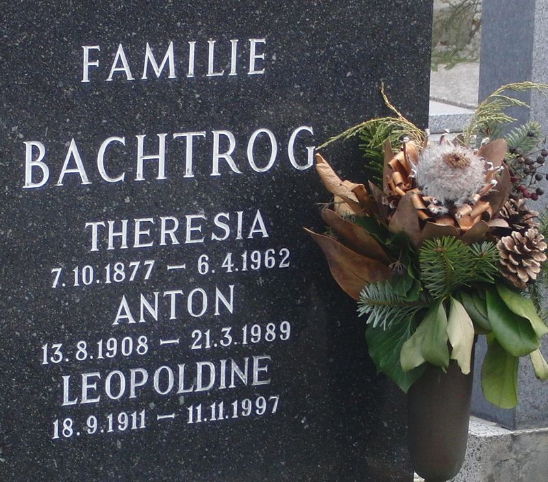 Bachtrog