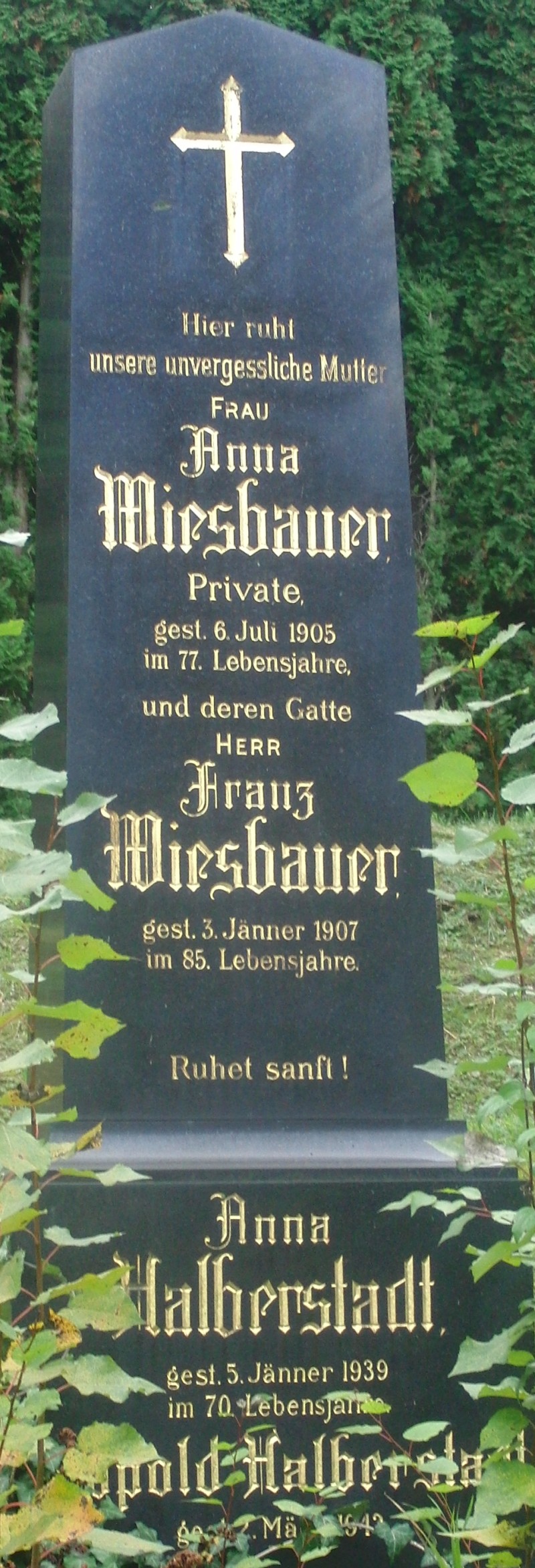 Wiesbauer; Halberstadt
