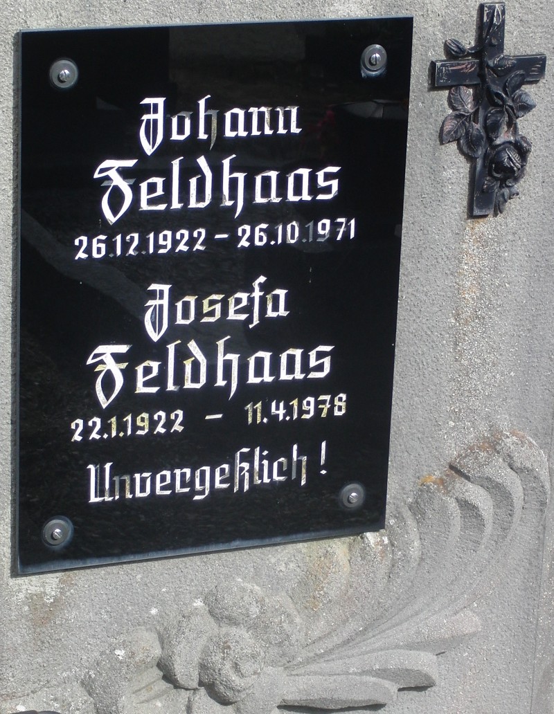 Feldhaas