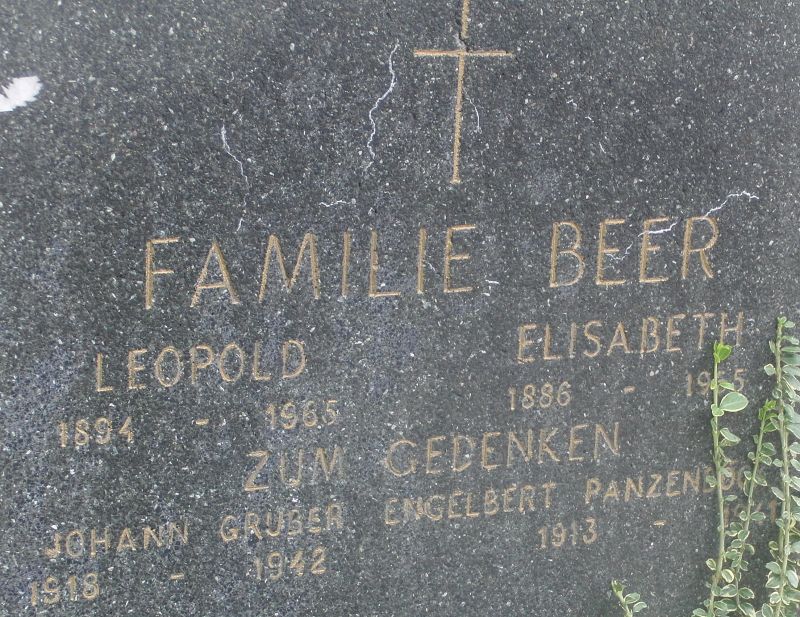 Beer; Gruber; Panzenböck