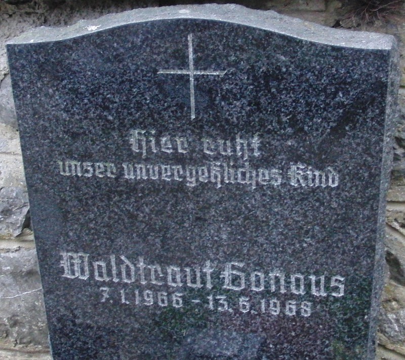 Gonaus