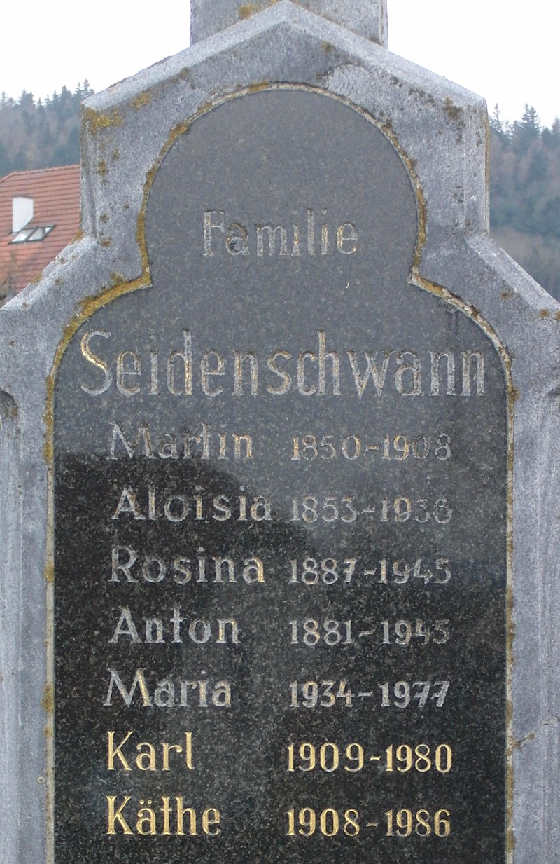 Seidenschwann