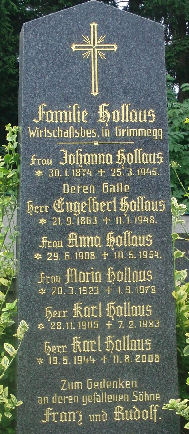 Hollaus