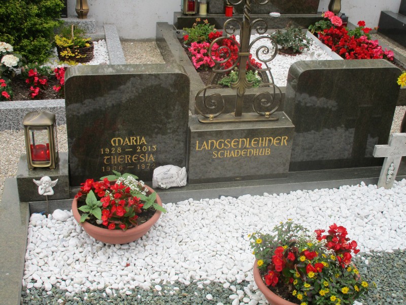 Langsenlehner; Schadenhub