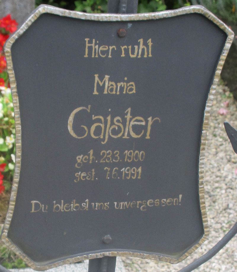 Gajster