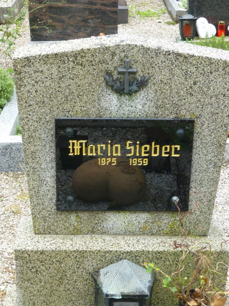 Sieber