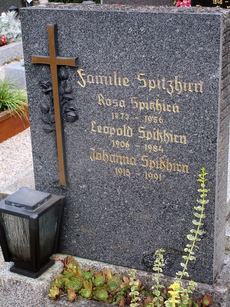 Spitzhirn