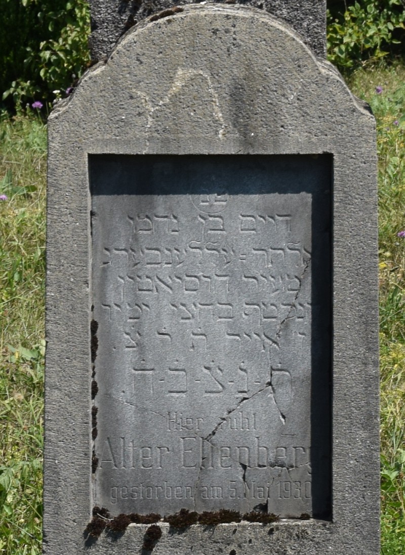 Ellenberg