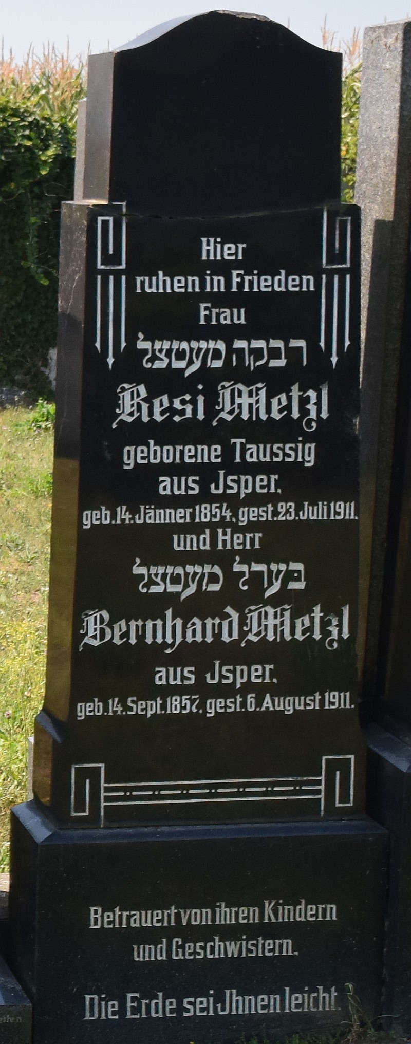 Metzl; Metzl geb. Taussig