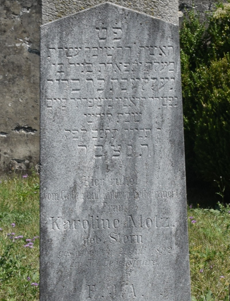 Molz geb. Stern