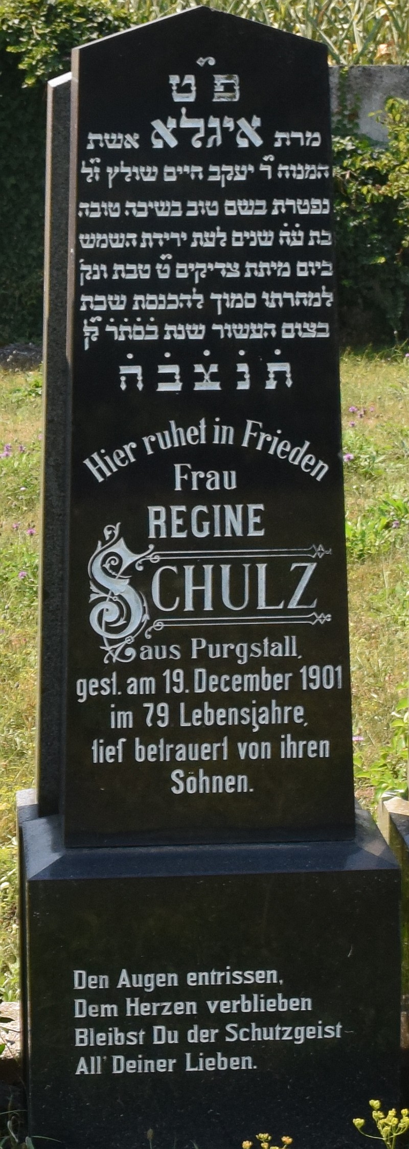 Schulz