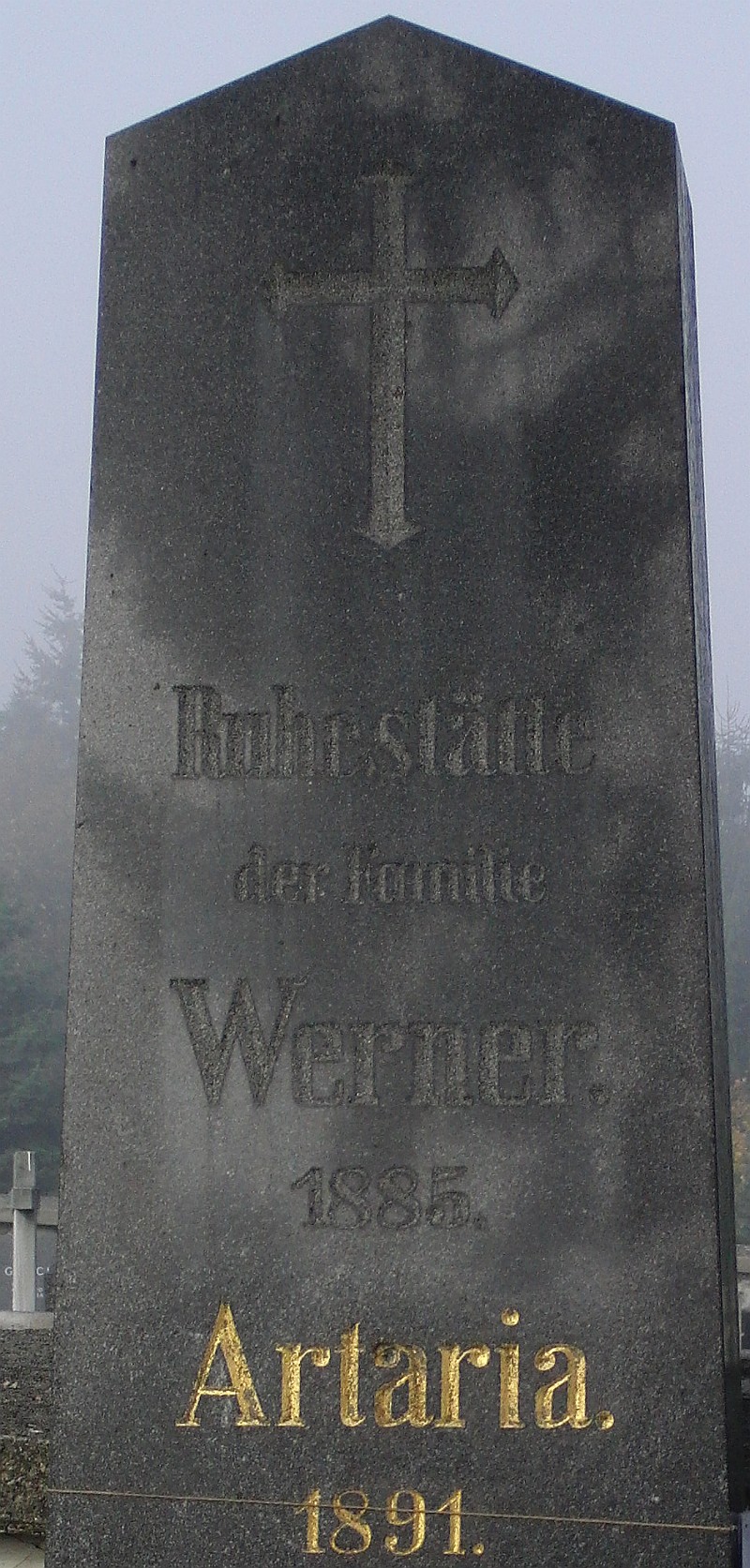 Artaria; Werner