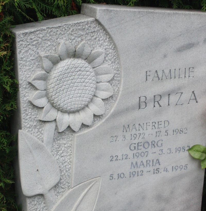 Briza