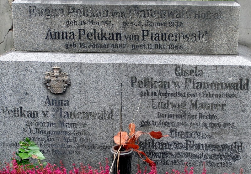 Pelikan von Plauenwald; Maurer