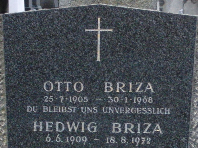 Briza