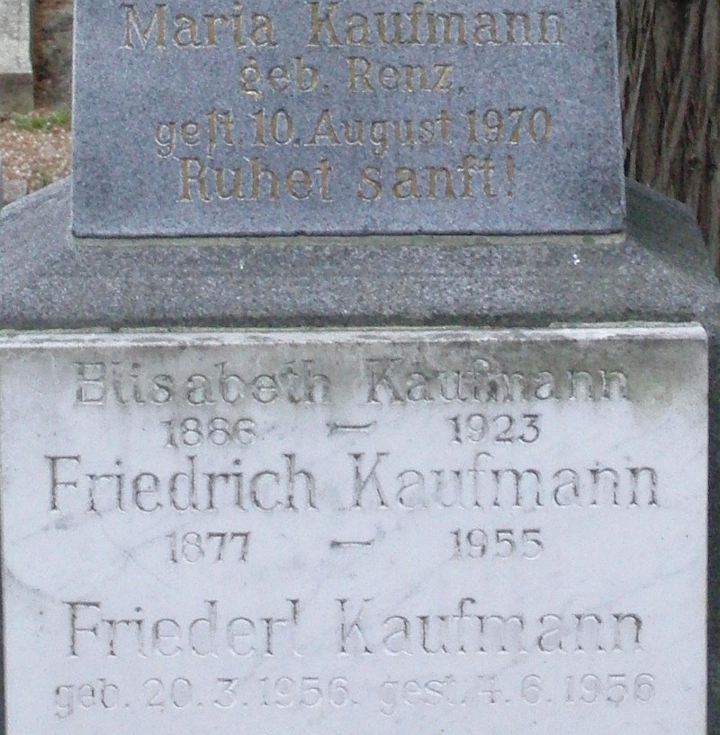 Kaufmann; Renz