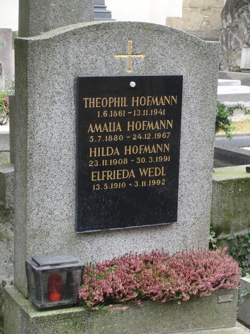 Hofmann; Wedl
