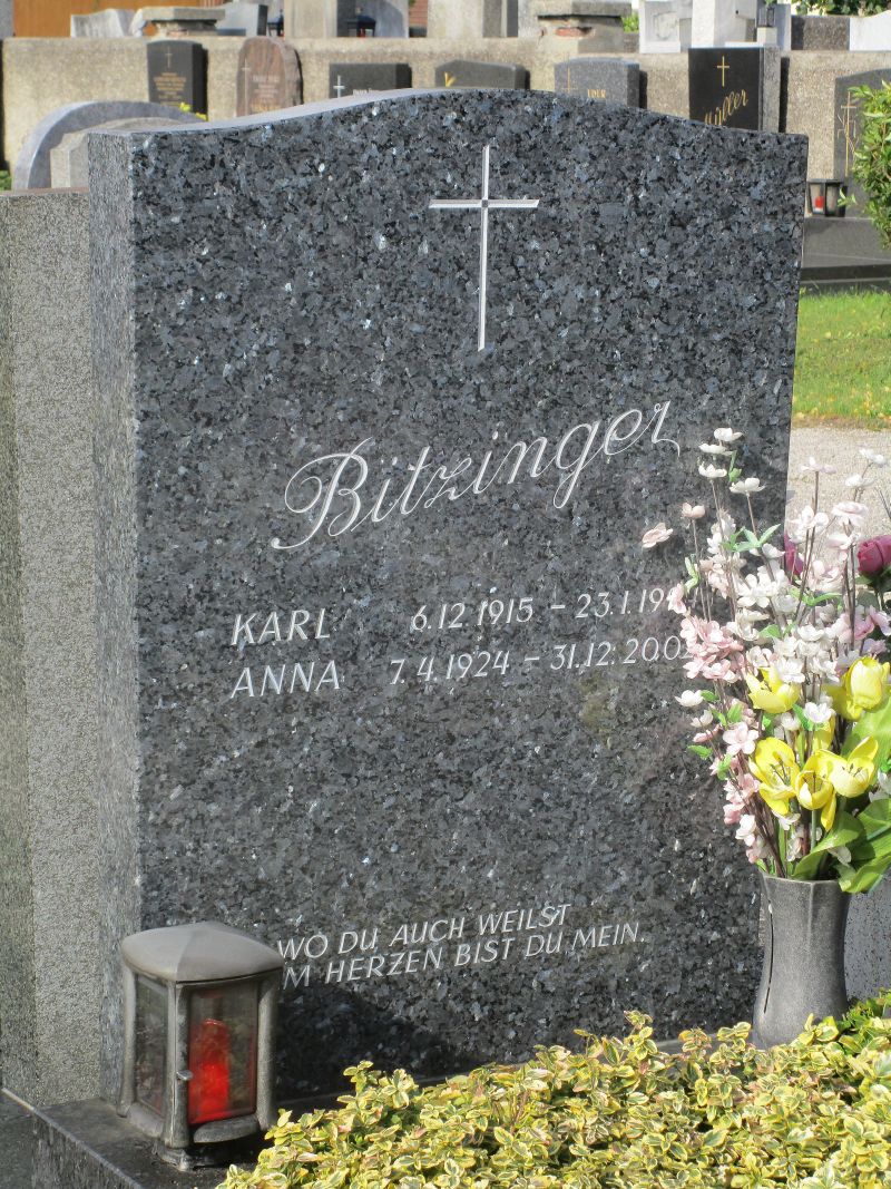 Bitzinger