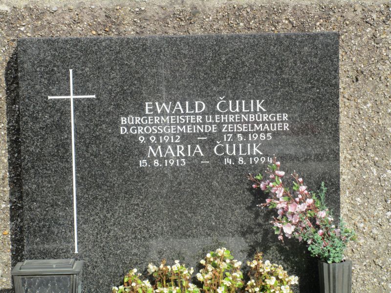 Culik