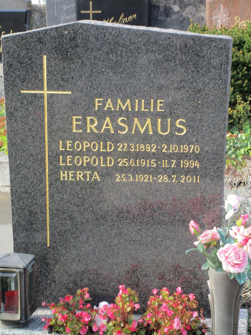 Erasmus
