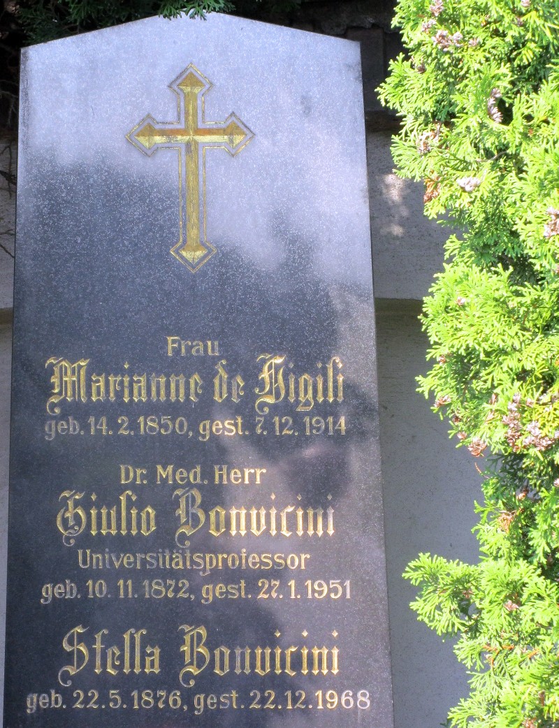 Bonvicini; de Higili