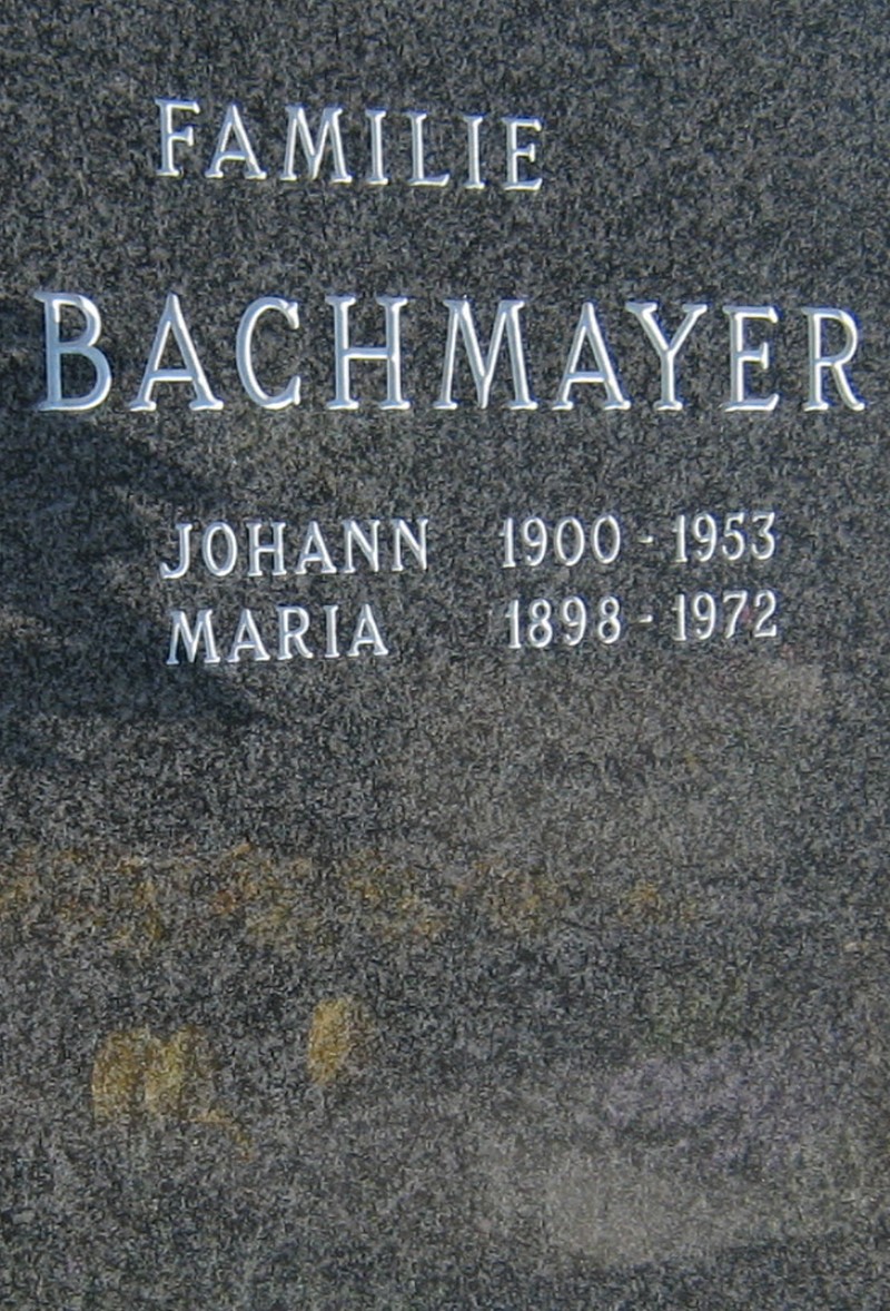Bachmayer