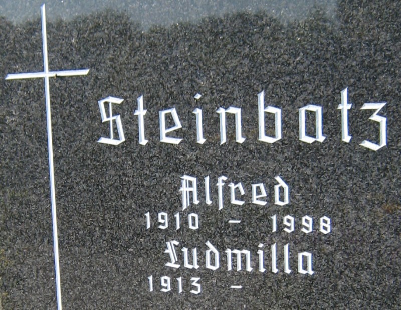 Steinbatz