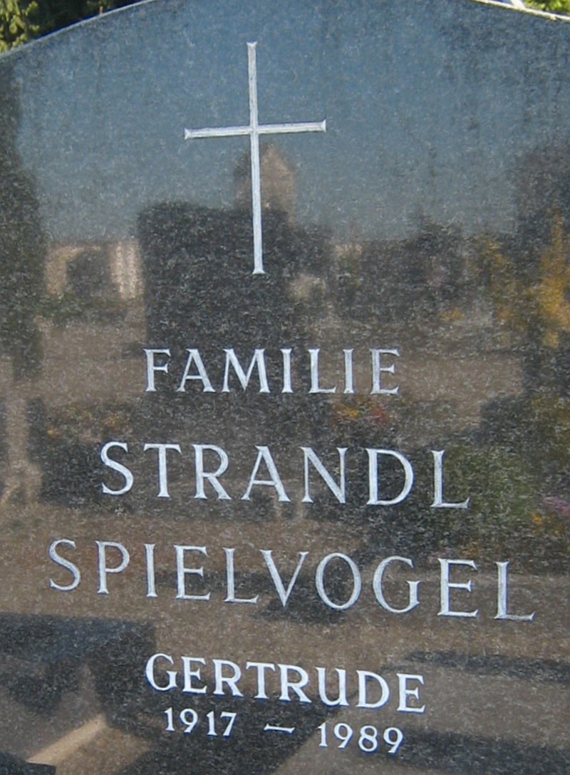 Strandl; Spielvogel