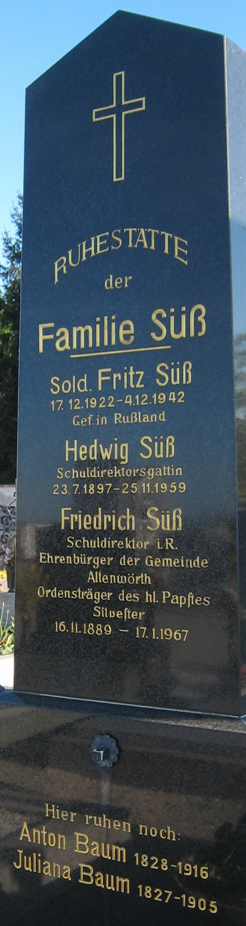 Süß; Baum