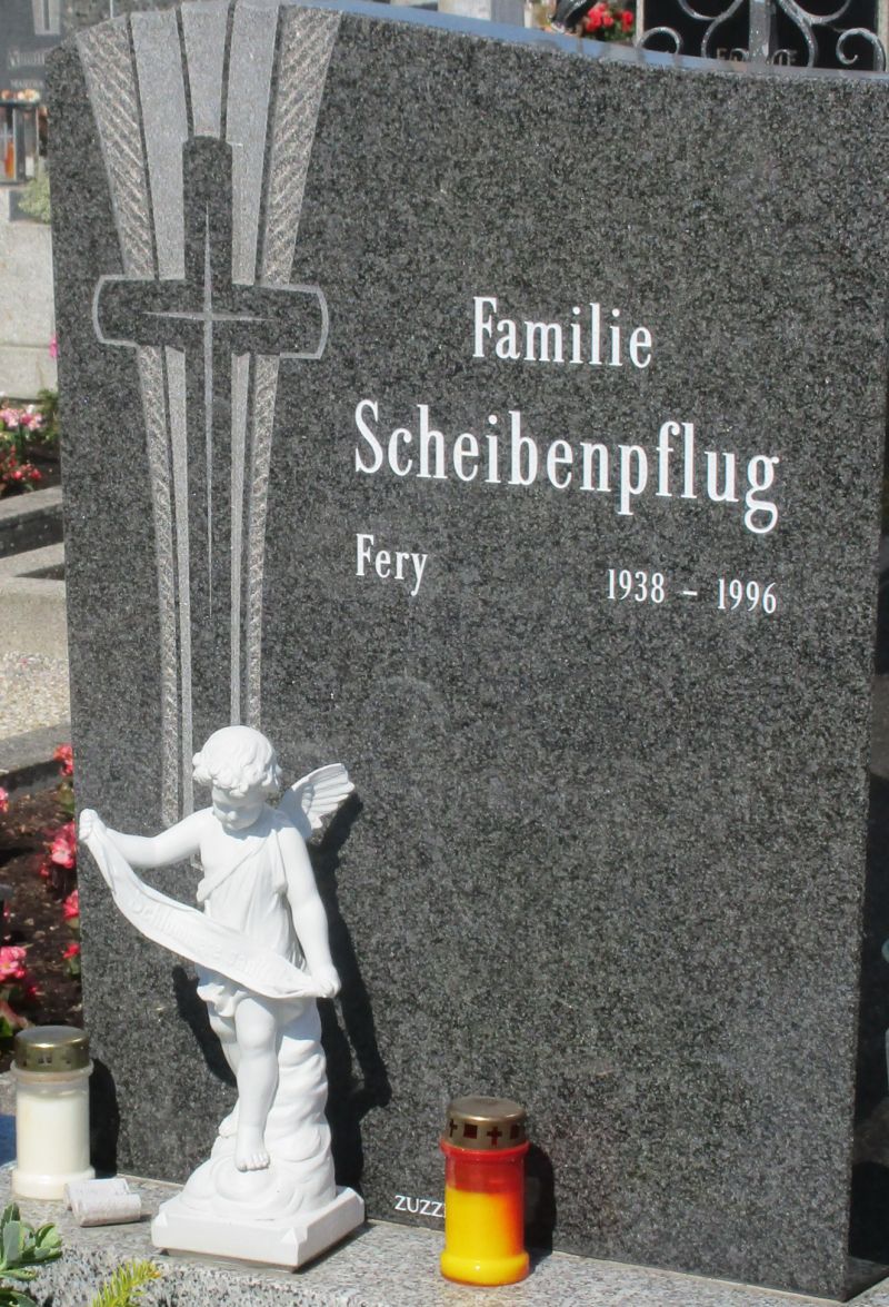 Scheibenpflug