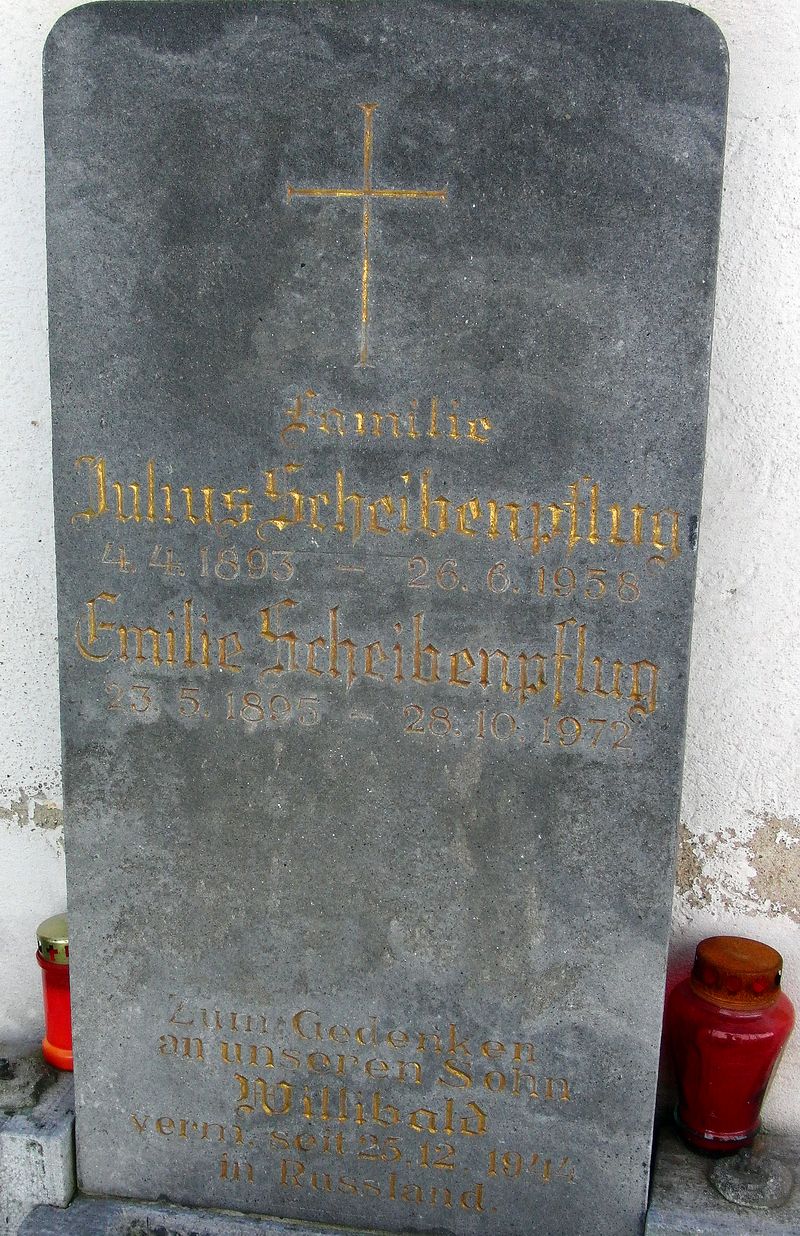 Scheibenpflug