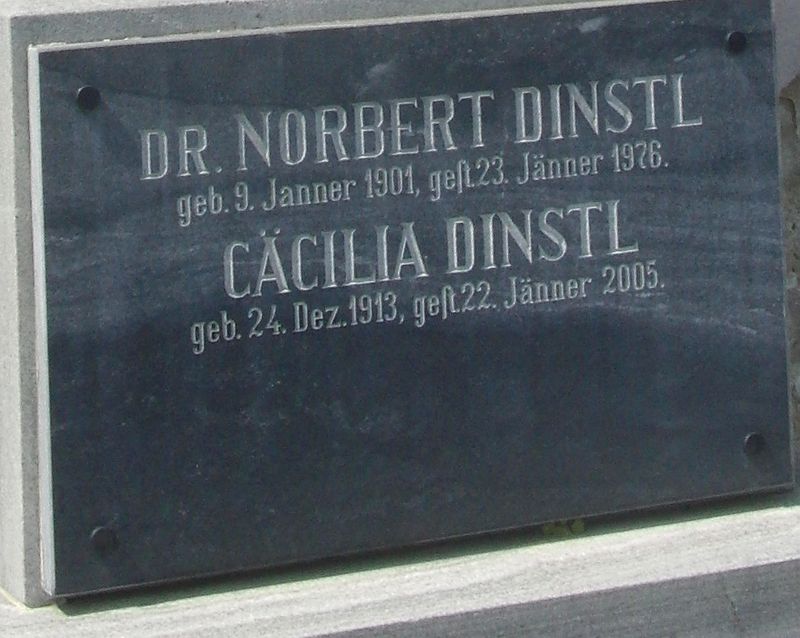 Dinstl