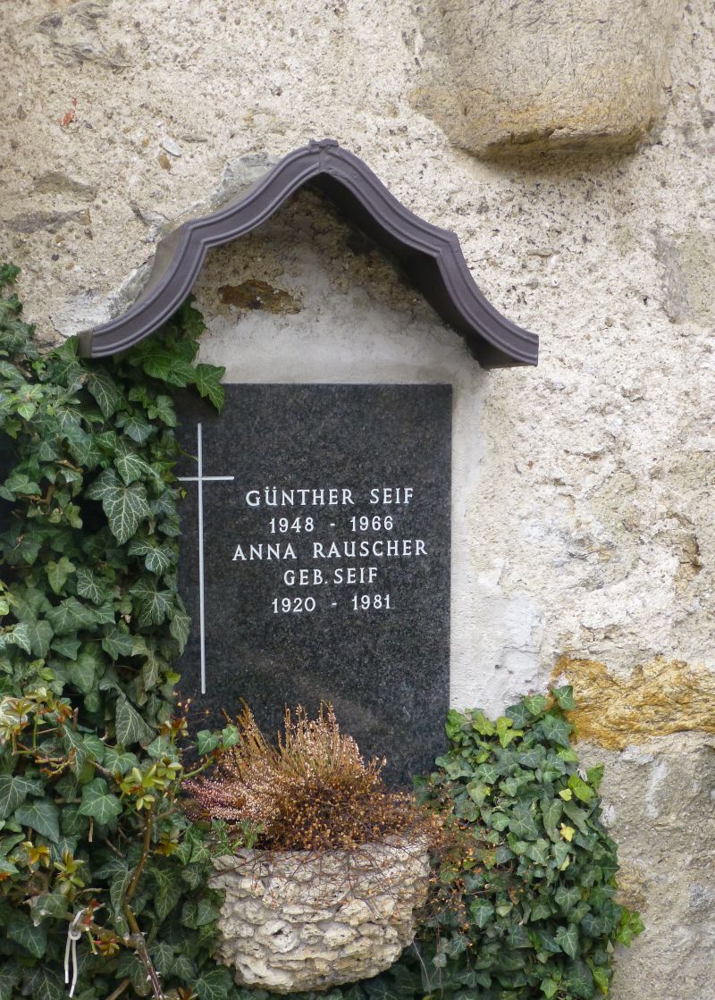 Seif; Rauscher
