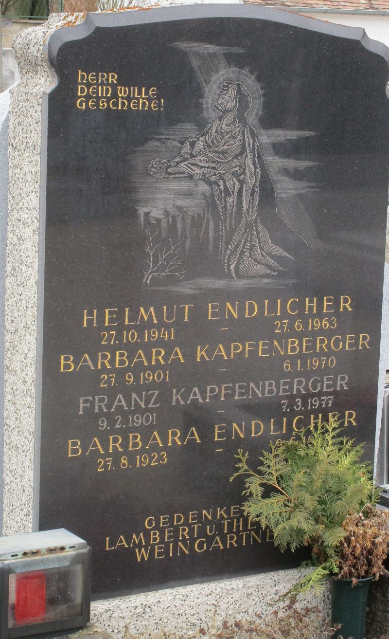 Endlicher; Kapfenberger; Weingartner
