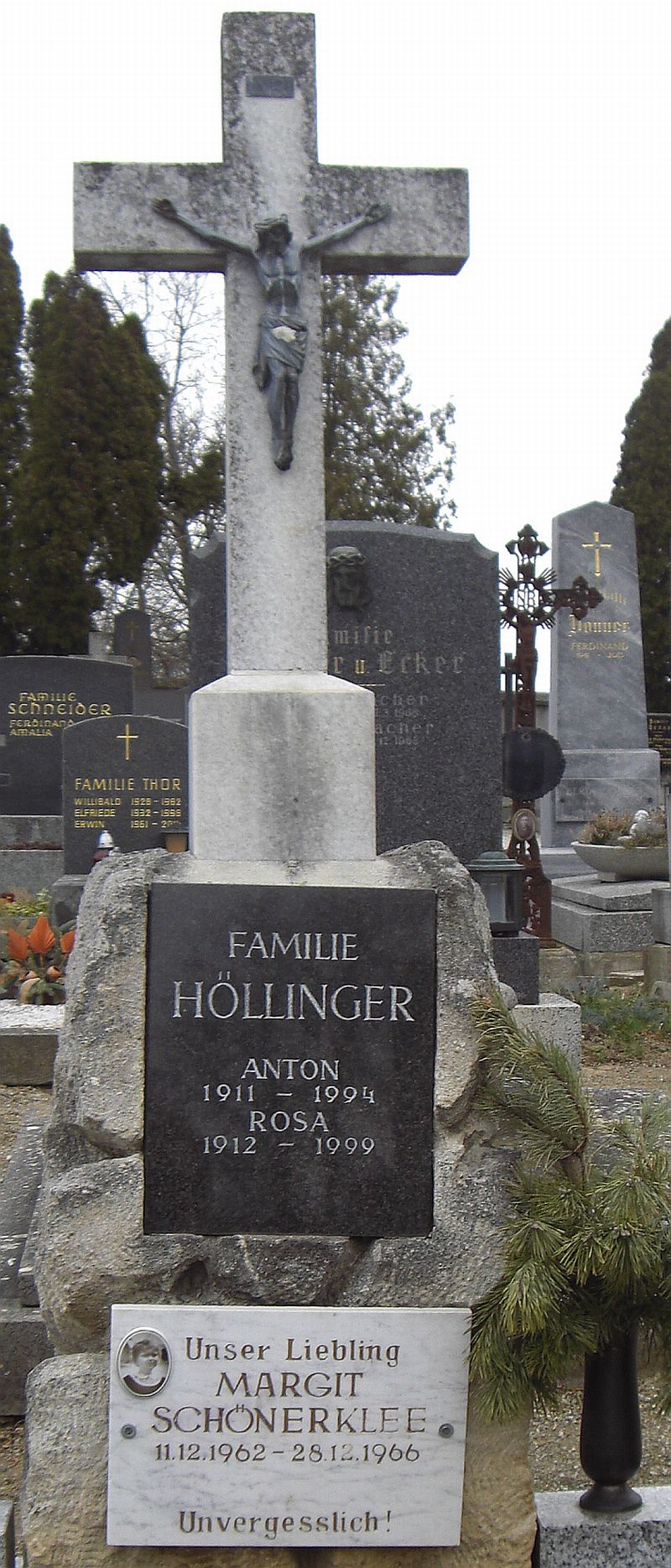 Höllinger; Schönerklee
