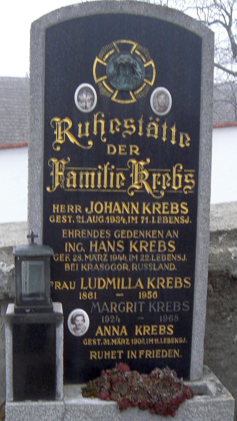 Krebs