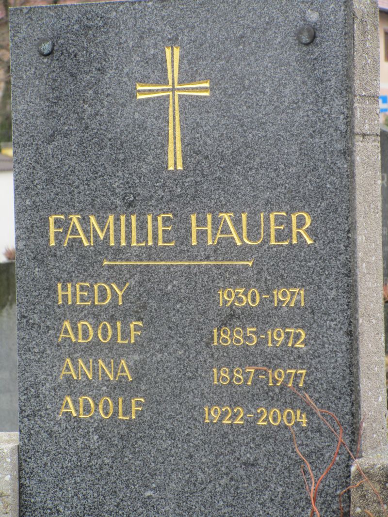 Hauer