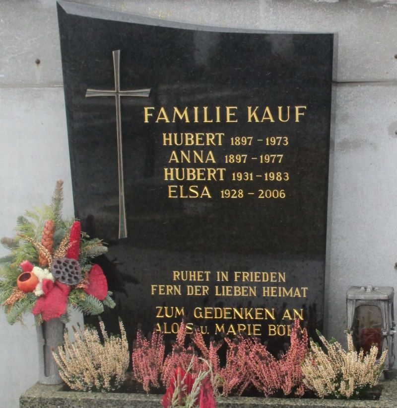Kauf; Böhm