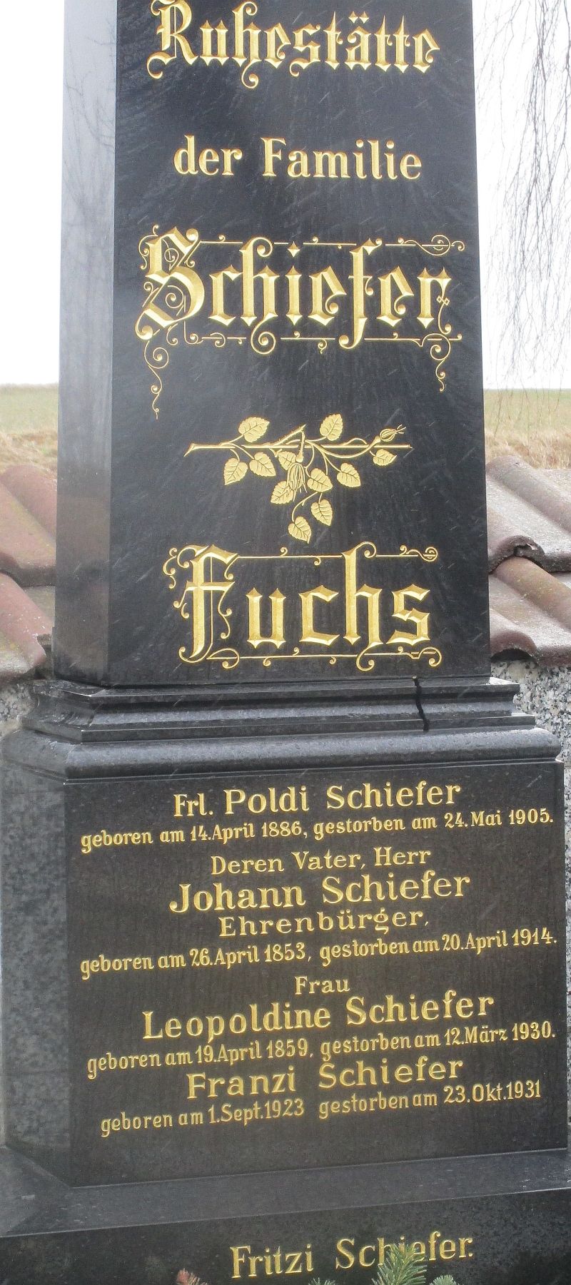 Schiefer; Fuchs