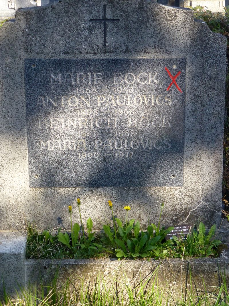 Bock; Paulovics