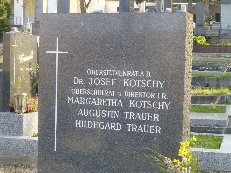 Kotschy; Trauer