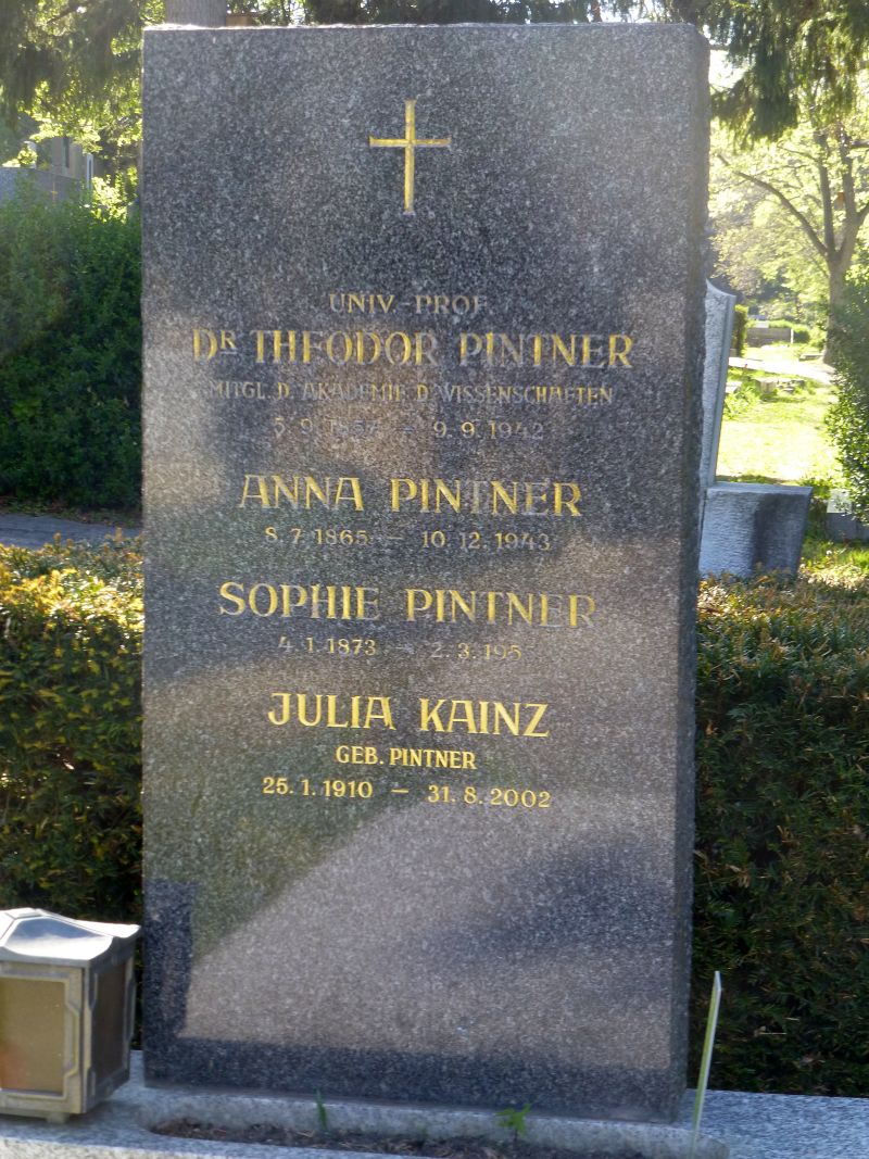Pintner; Kainz