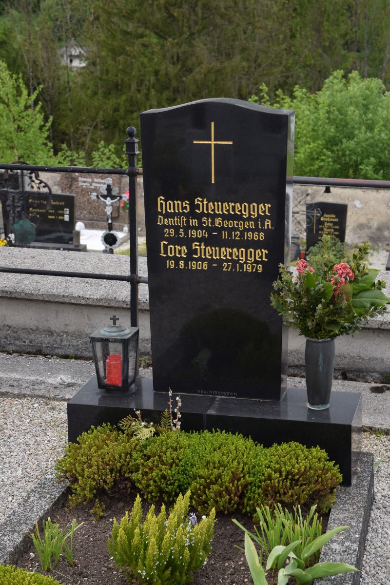 Steueregger