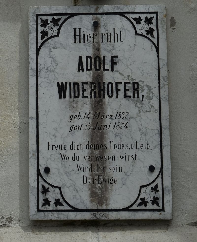 Widerhofer