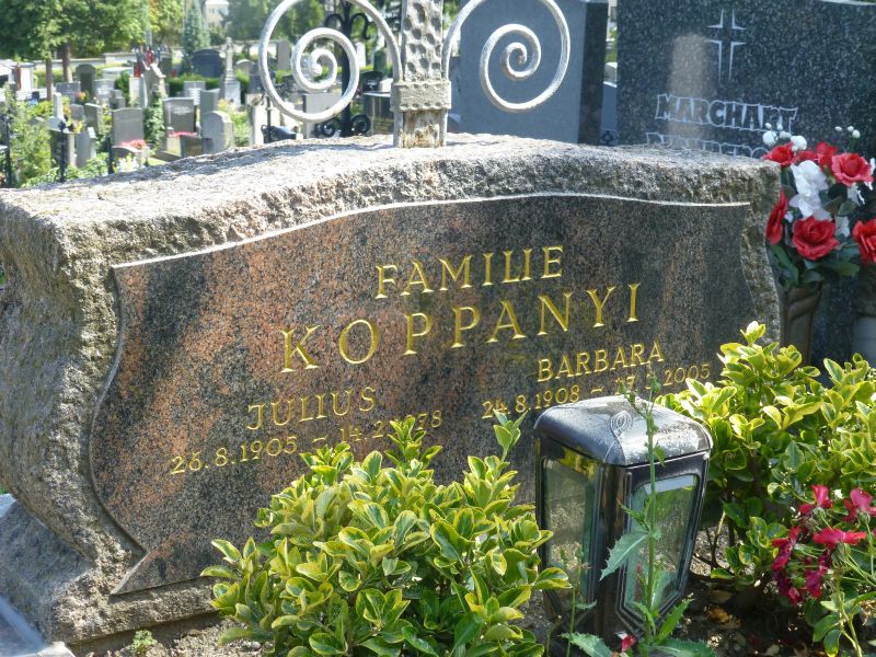 Koppanyi