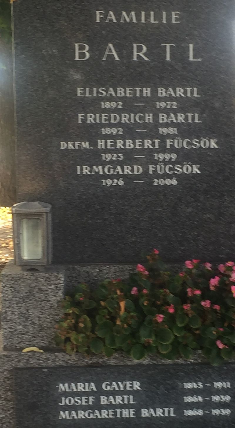 Bartl; Fücsök; Gayer