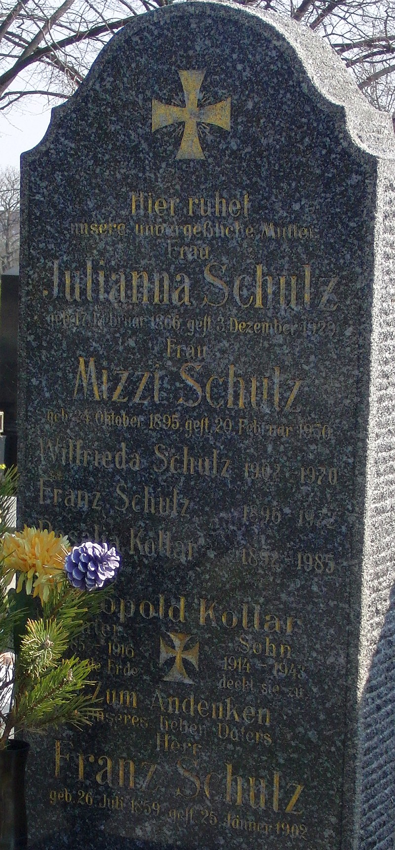 Schulz; Kollar