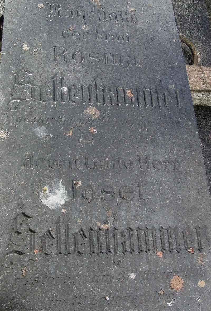 Seltenhammer