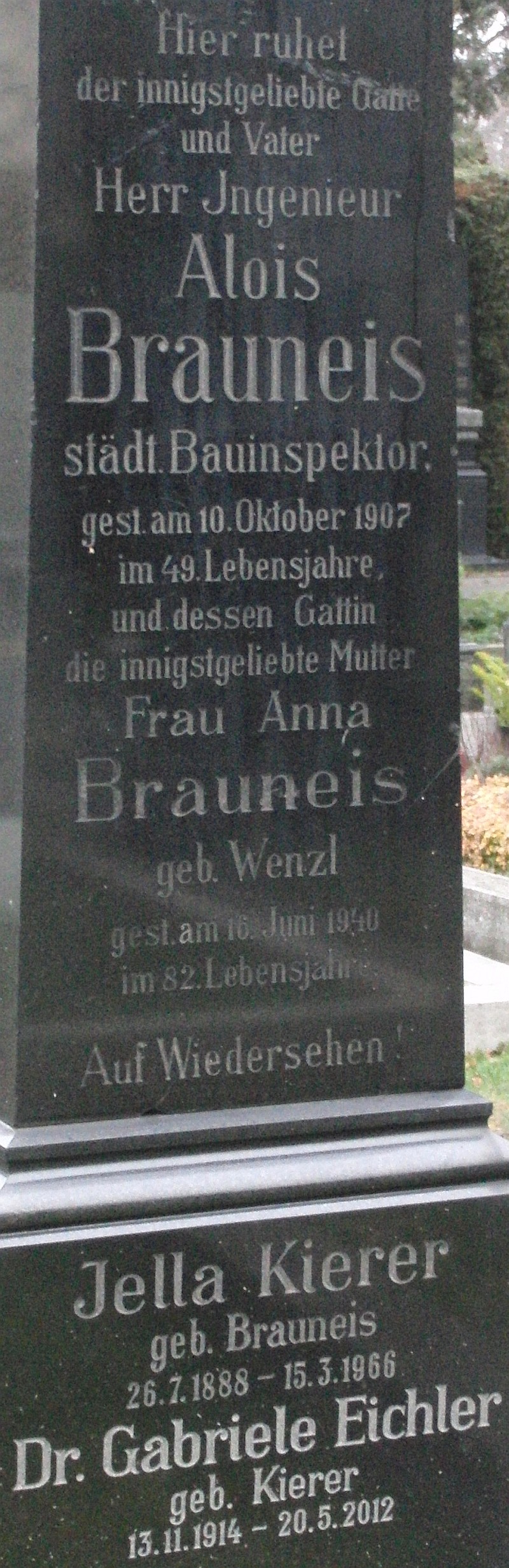 Ing. Alois Brauneis